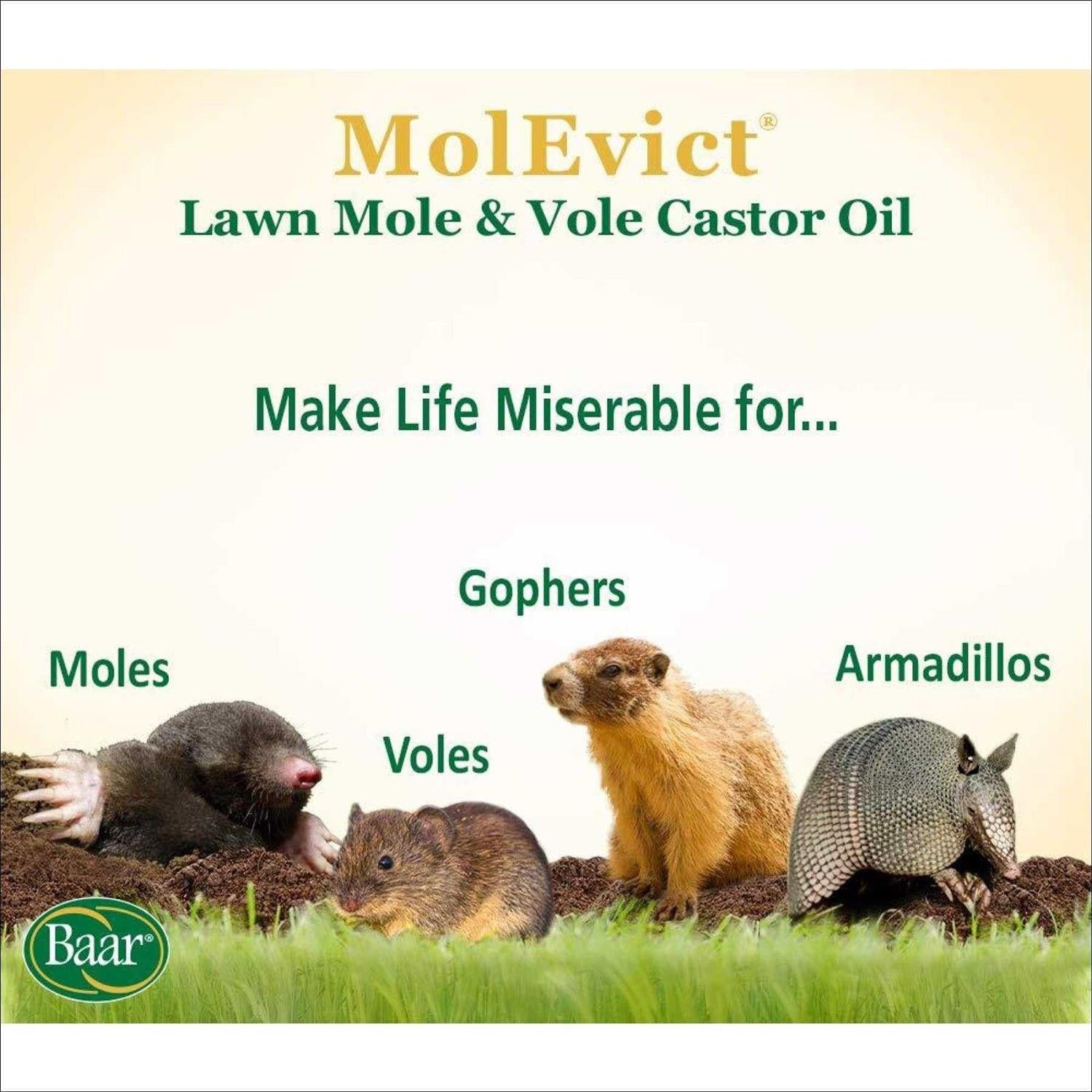 Baar Lawn Mole Castor Oil