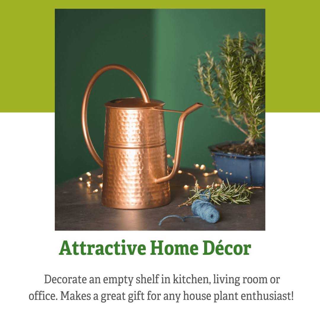 Gardener’s Supply Company Copper Indoor Watering Can