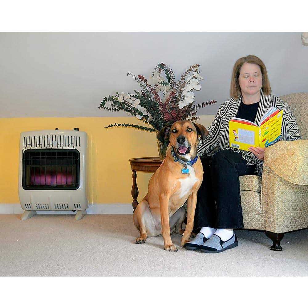 Mr. Heater 20,000 BTU Vent Free Blue Flame Natural Gas Heater