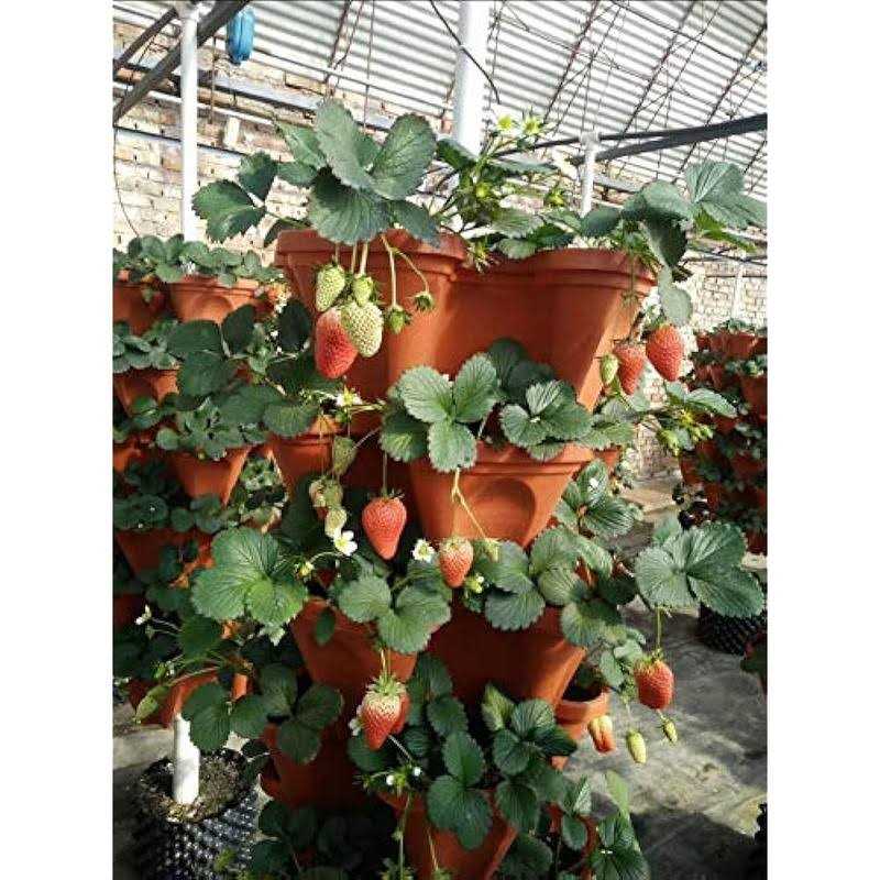 Mr Stacky 5 Tier Strawberry Planter