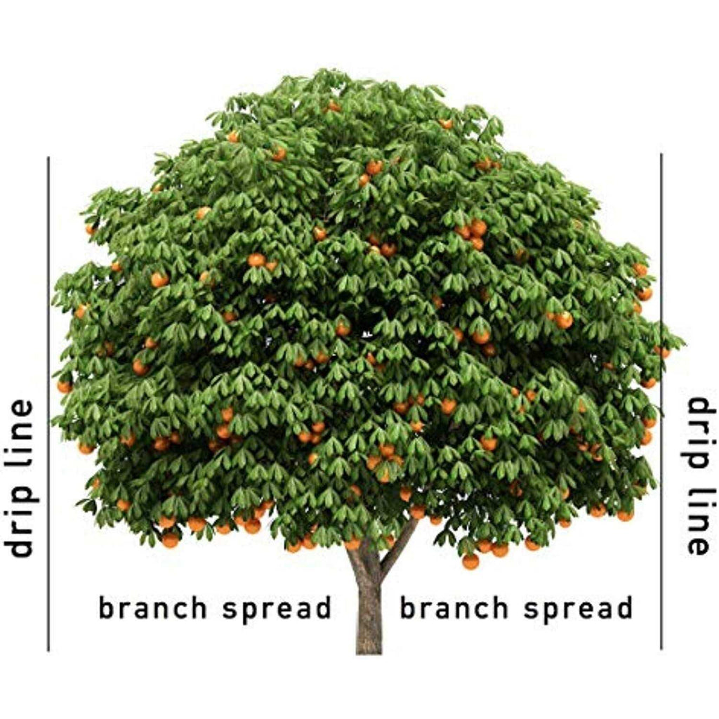 Jobe’s Fertilizer Fruit/Citrus Spikes