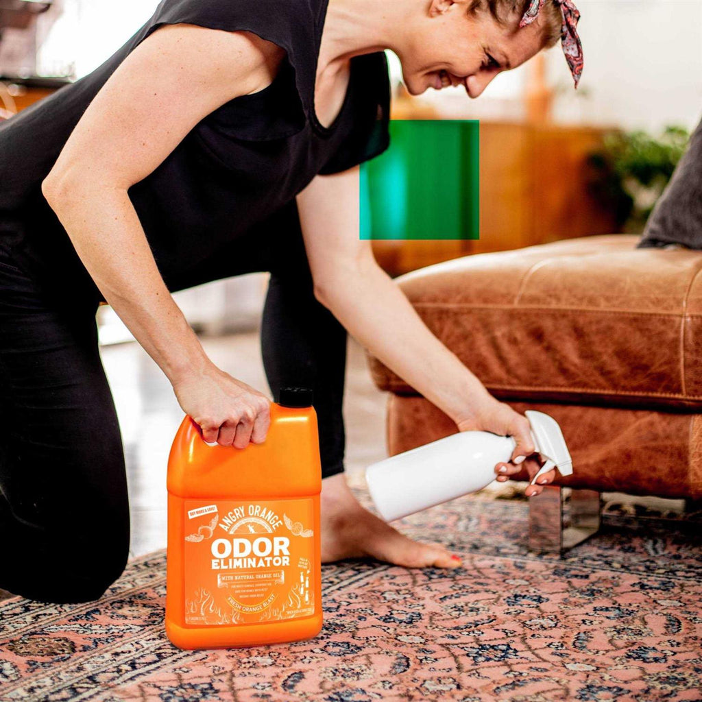 Angry Orange Pet Odor Eliminator for Strong Odor Citrus Deodorizer for Strong Dog or Cat Pee Smells on Carpet