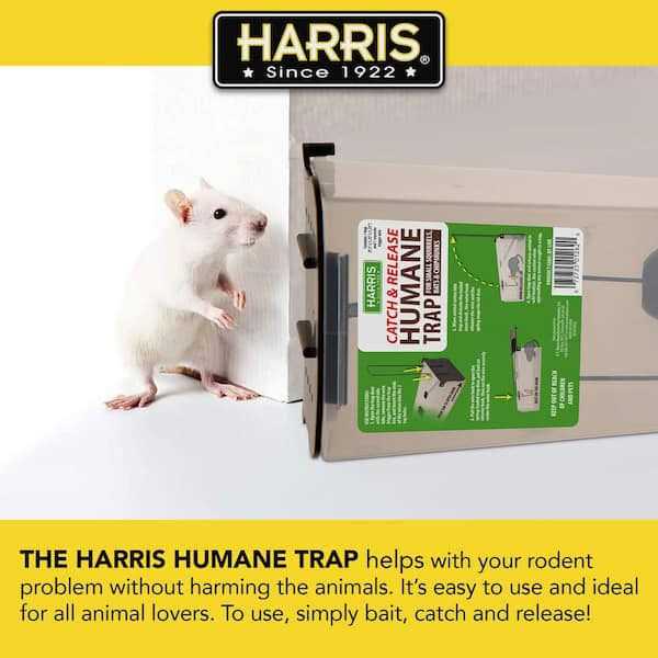 Harris Catch and Release Humane Squirrel and Rodent Trap