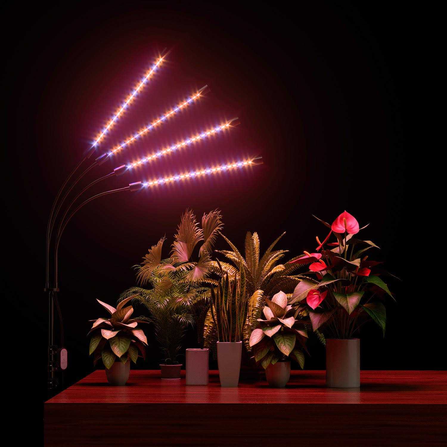 Grow Light with Stand FRENAN Grow Lights for Indoor