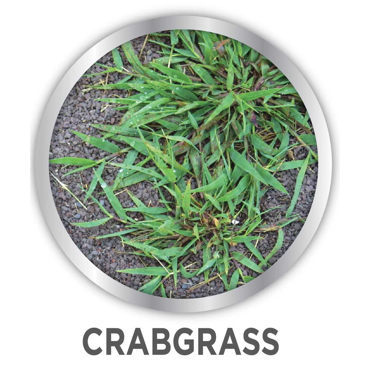 Image Casoron Granules