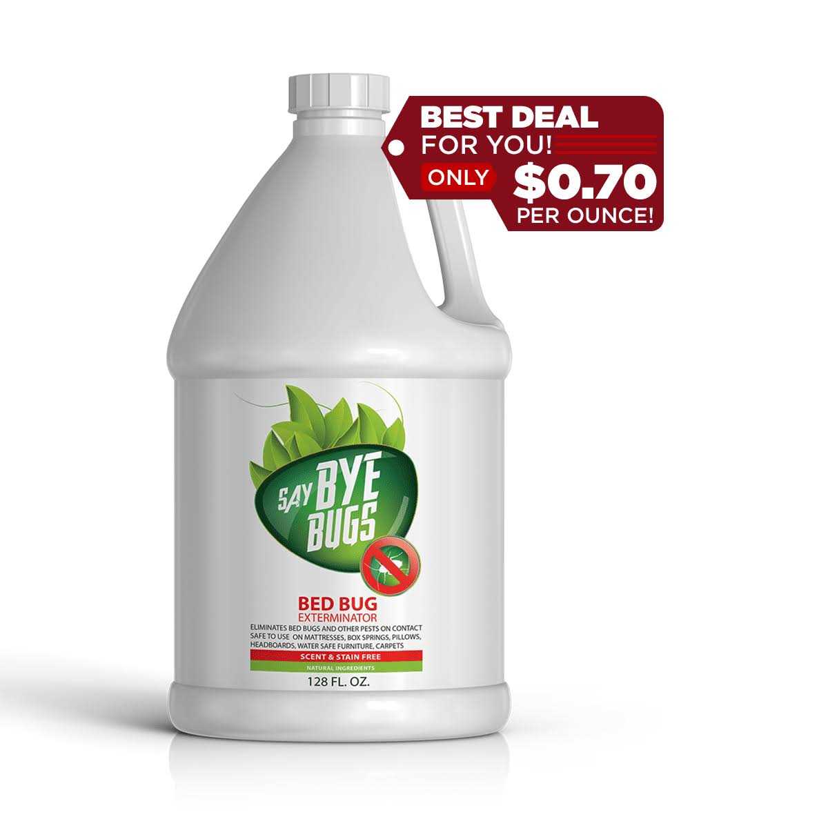 SayByeBugs Bed Bug Extermination Spray
