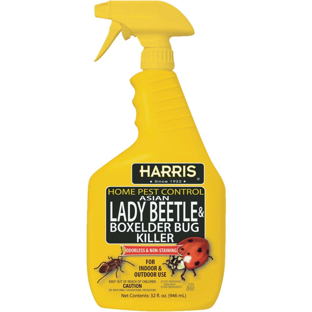 Harris Asian Lady Beetle & Box Elder Bug Killer