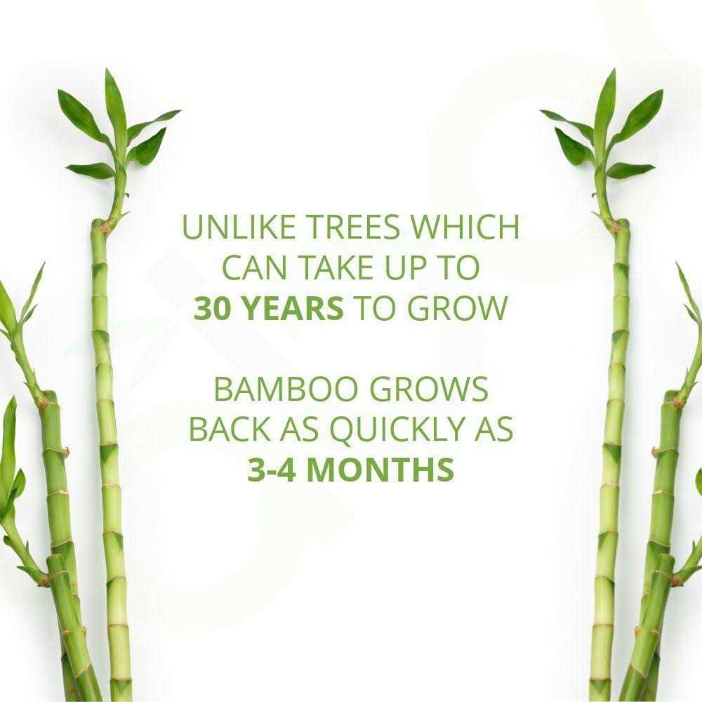 Caboo Tree-Free Bamboo Toilet Paper Septic Safe Biodegradable Bath Tissue