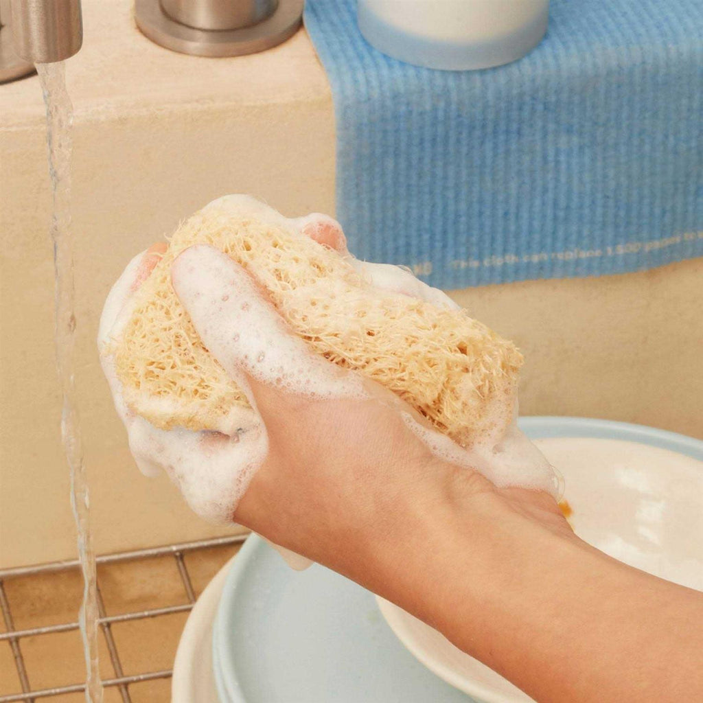 Blueland Powder Dish Soap Refill
