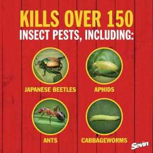Sevin Insect Killer Dust