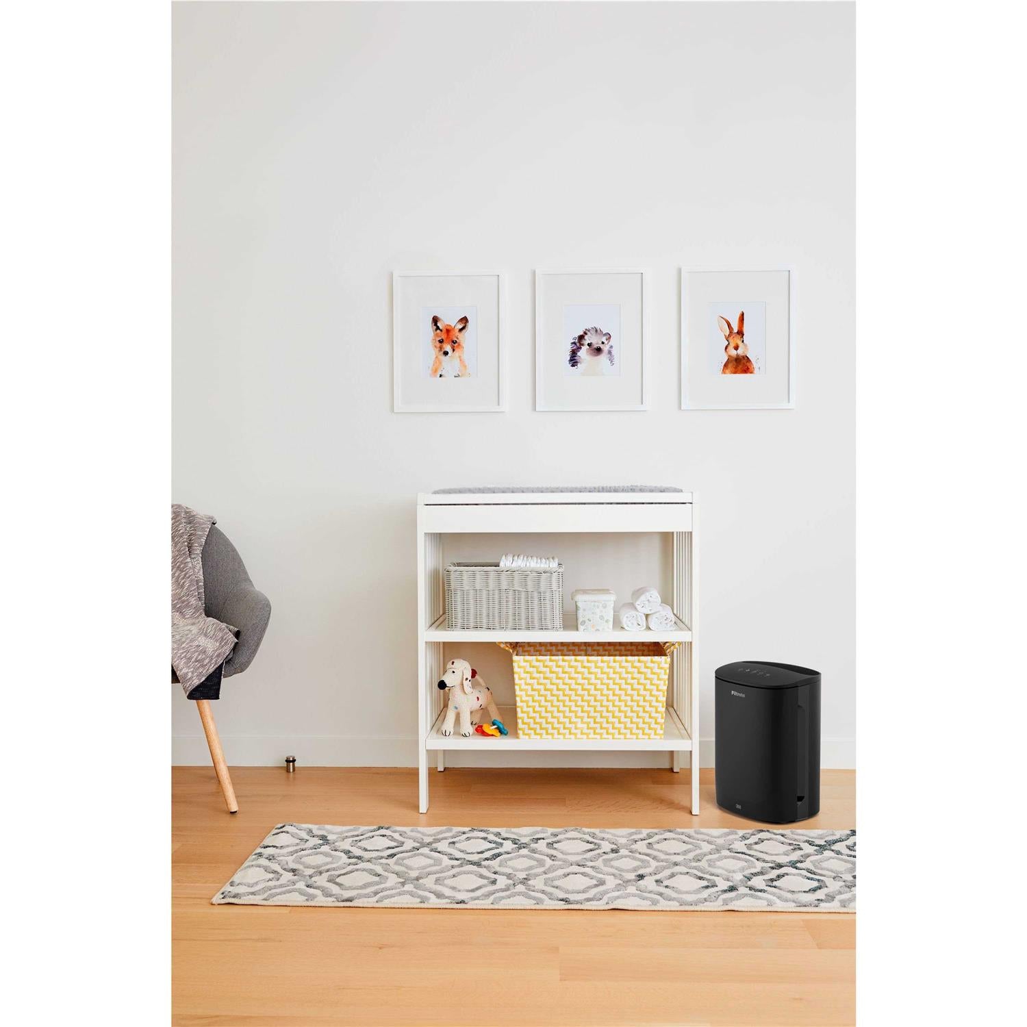 Filtrete Small Room Air Purifier FAP-C01BA-G1