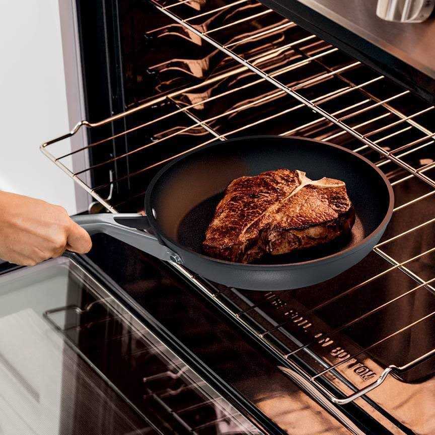 Ninja NeverStick Signature Hard-Anodized Aluminum 10 Fry Pan