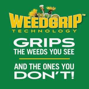 Scotts Turf Builder Weed & Feed Fertilizer