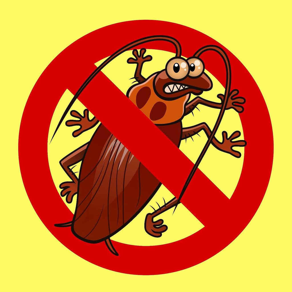 Zap-A-Roach Boric Acid Roach & Ant Killer