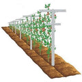 MRGARDEN 7-Feet Adjustable Garden Trellis Set for Raspberry and Climbing Plants