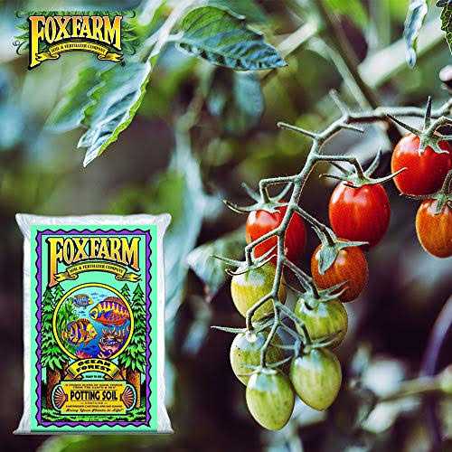 FoxFarm Ocean Forest Potting Soil