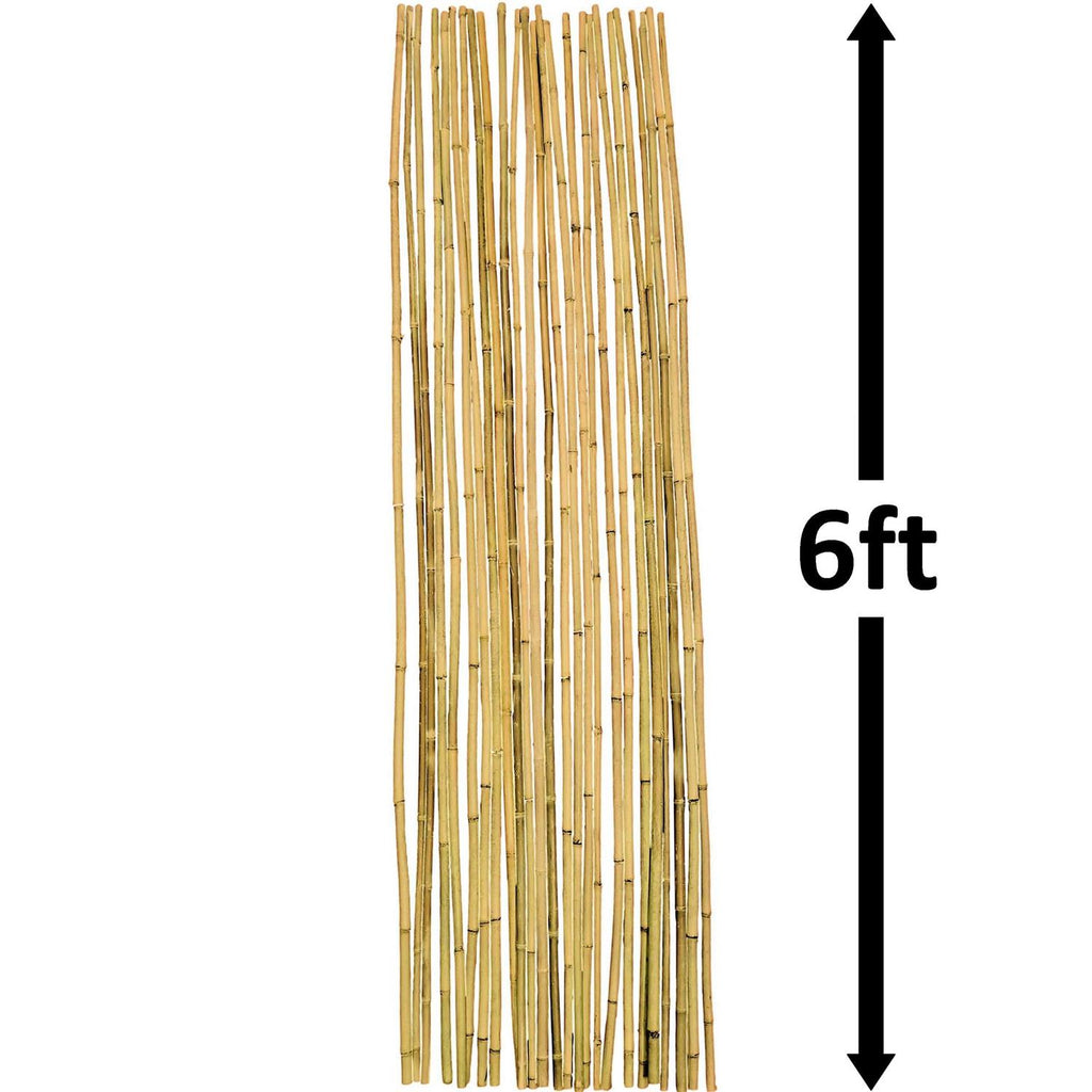 Dlh Western Natural Bamboo Poles Eco-Friendly Plant Support Garden Stakes Long