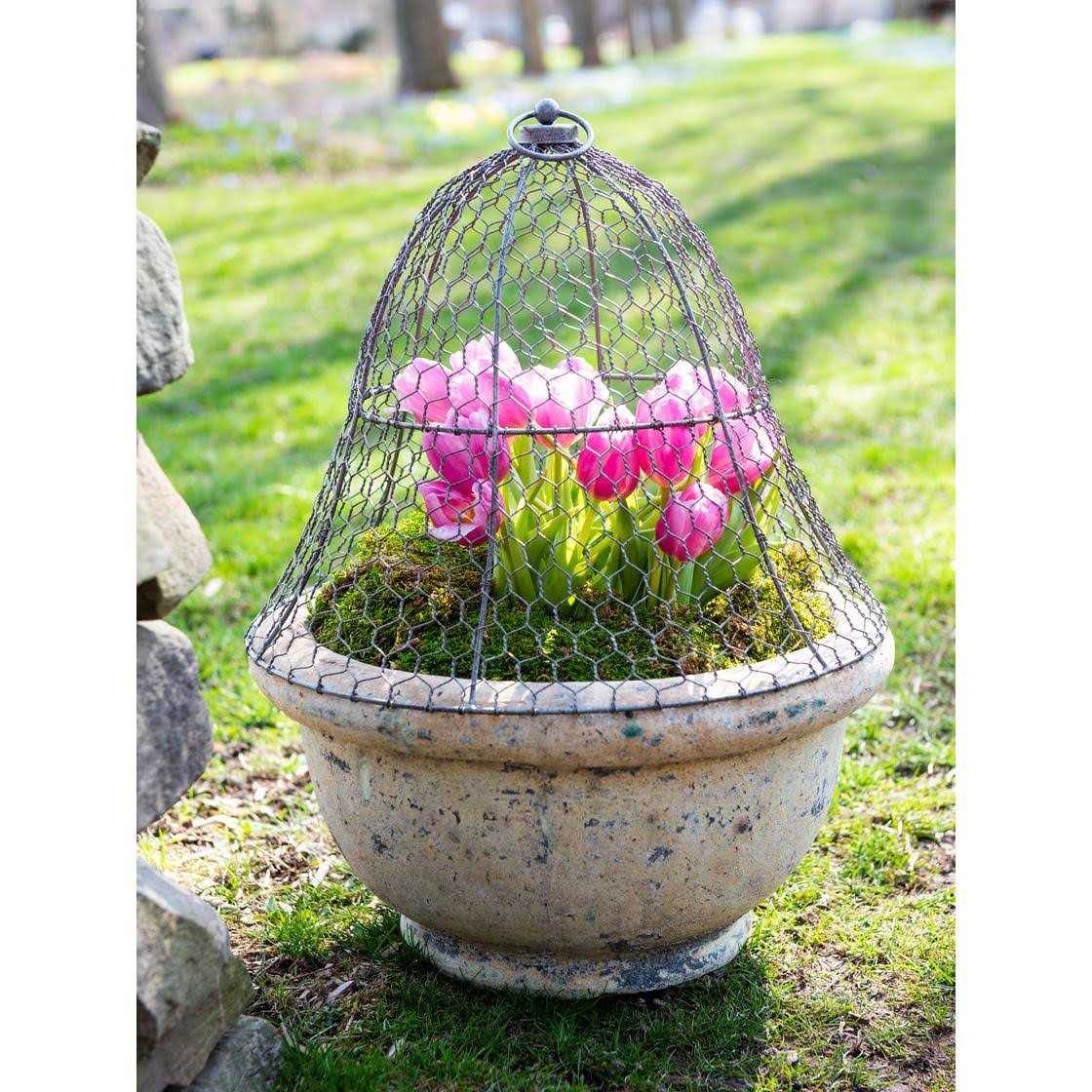 Gardener’s Supply Company Chicken Wire Cloche Garden Plant Protection