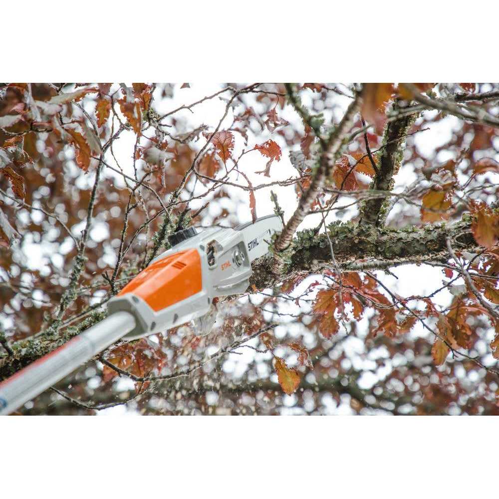 Stihl HTA 50 Battery Pole Pruner