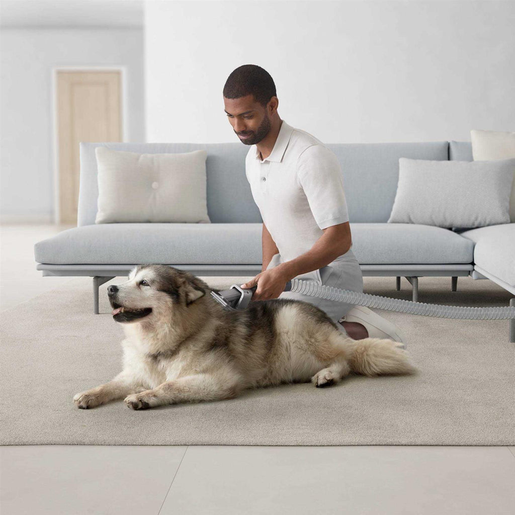 Dyson Ball Animal 3