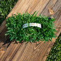 Sod Pods St Augustine Grass Plugs Natural