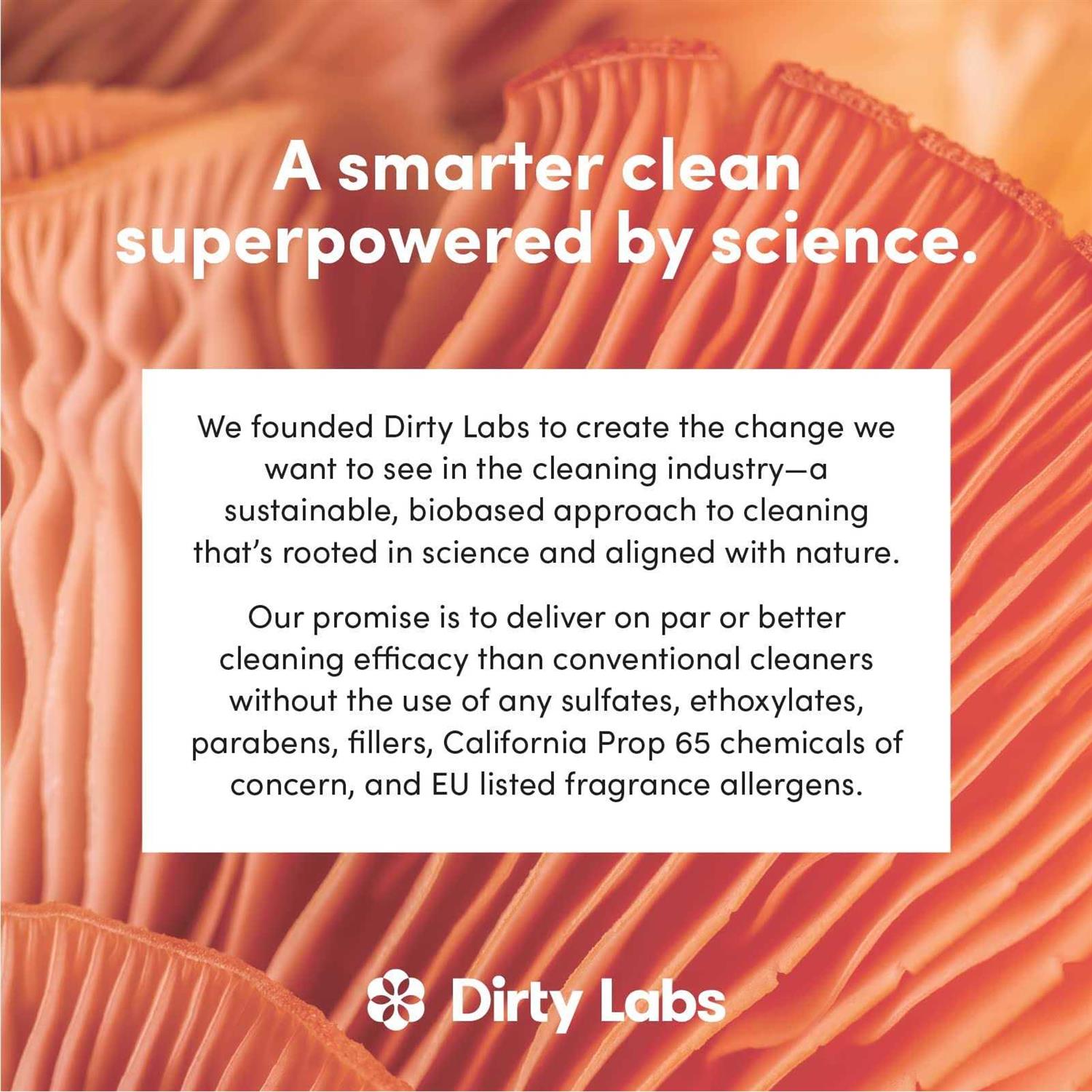 Dirty Labs Dishwasher Detergent and Booster Scent 48 Loads