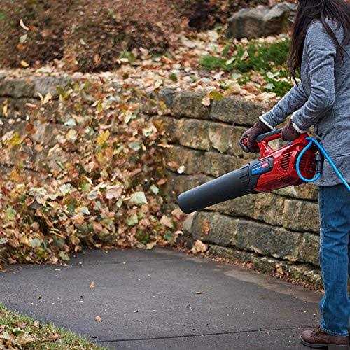 Toro PowerJet F700 140 mph 725 CFM Electric Handheld Leaf Blower 51624