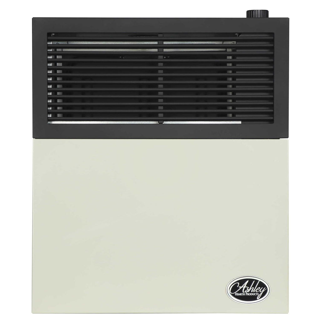 Ashley Hearth Products 11,000 BTU Direct Vent Propane Heater