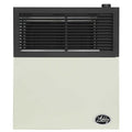Ashley Hearth Products 11,000 BTU Direct Vent Propane Heater