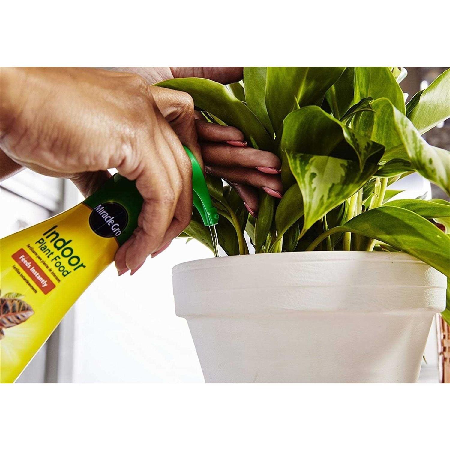 Miracle Gro Indoor Plant Food