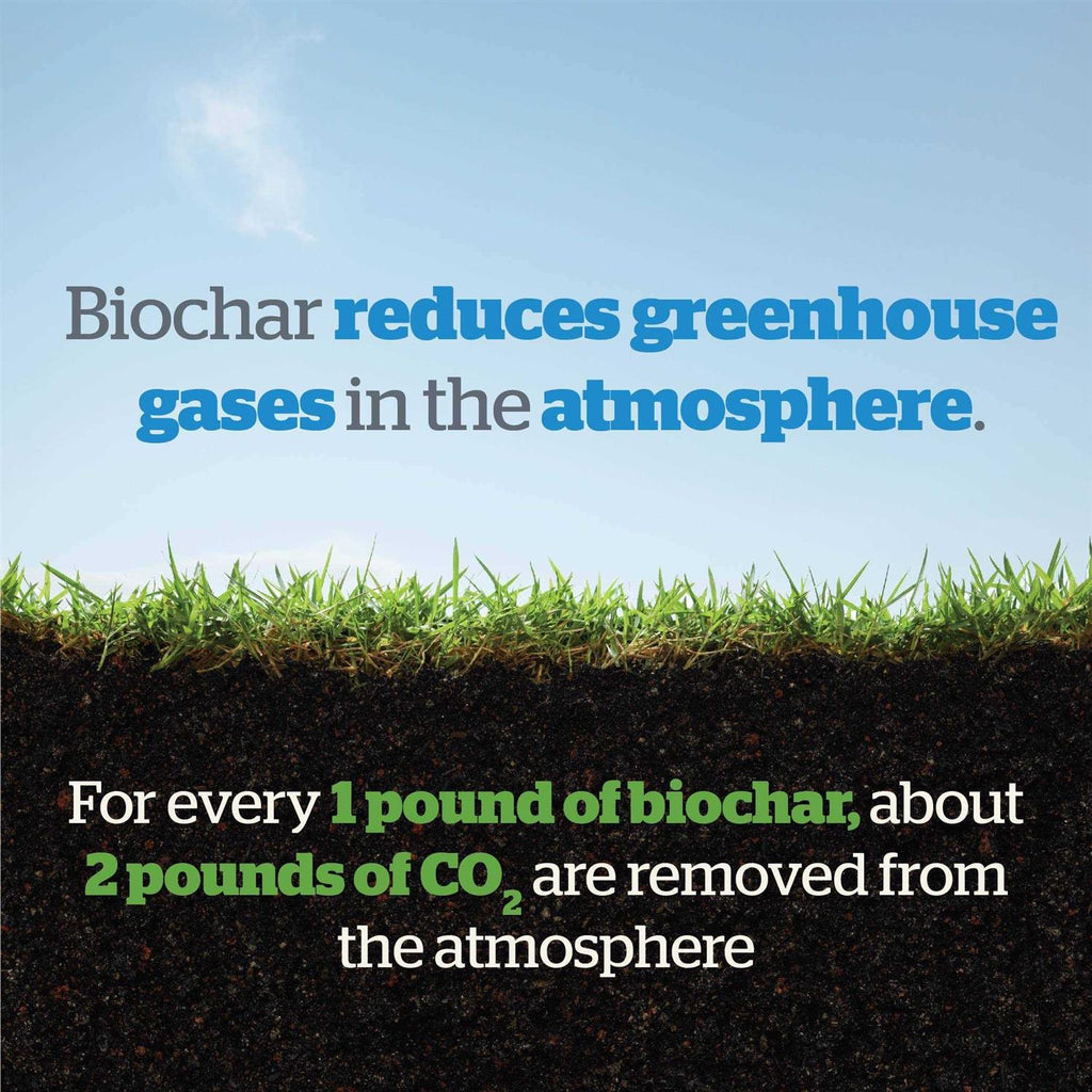 Wakefield Biochar Soil Conditioner