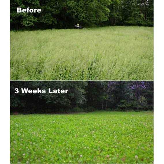 Whitetail Institute Arrest Max Herbicide