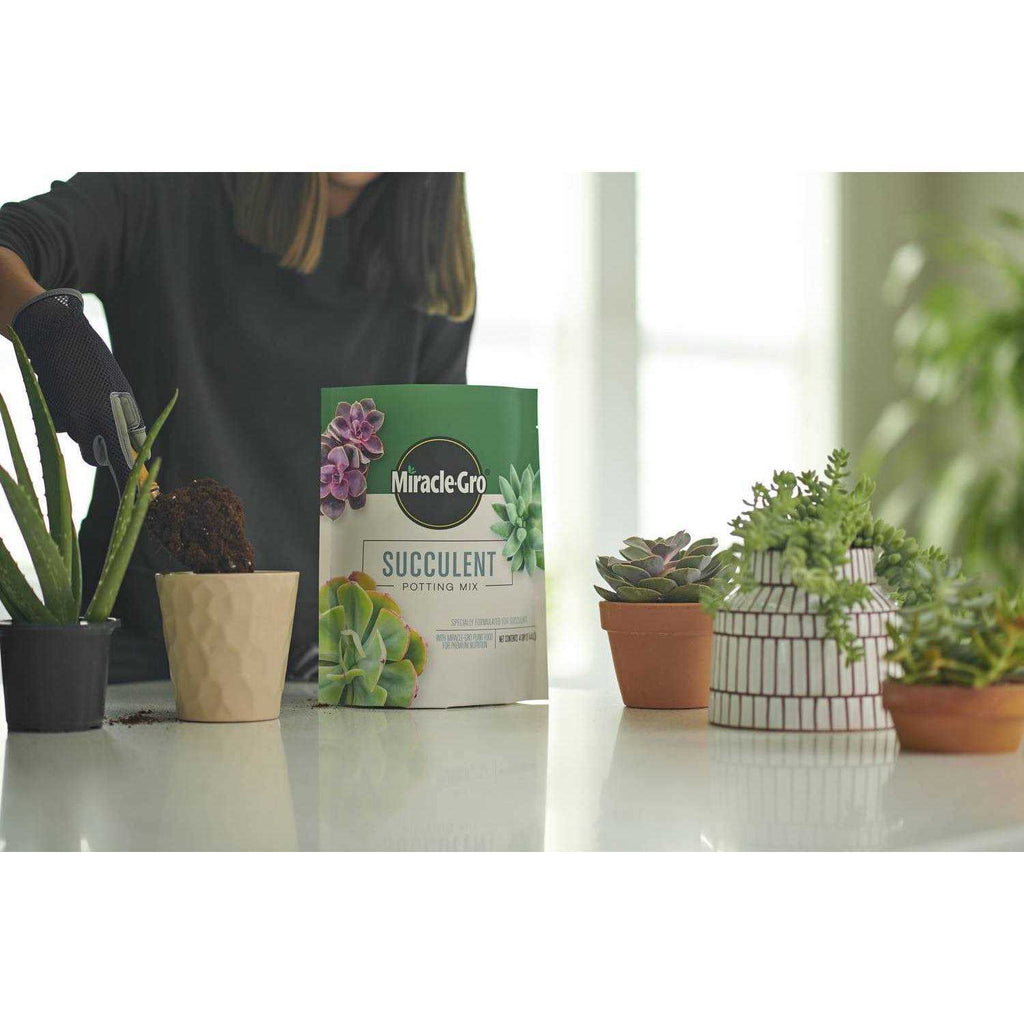 Miracle-Gro Succulent Potting Mix