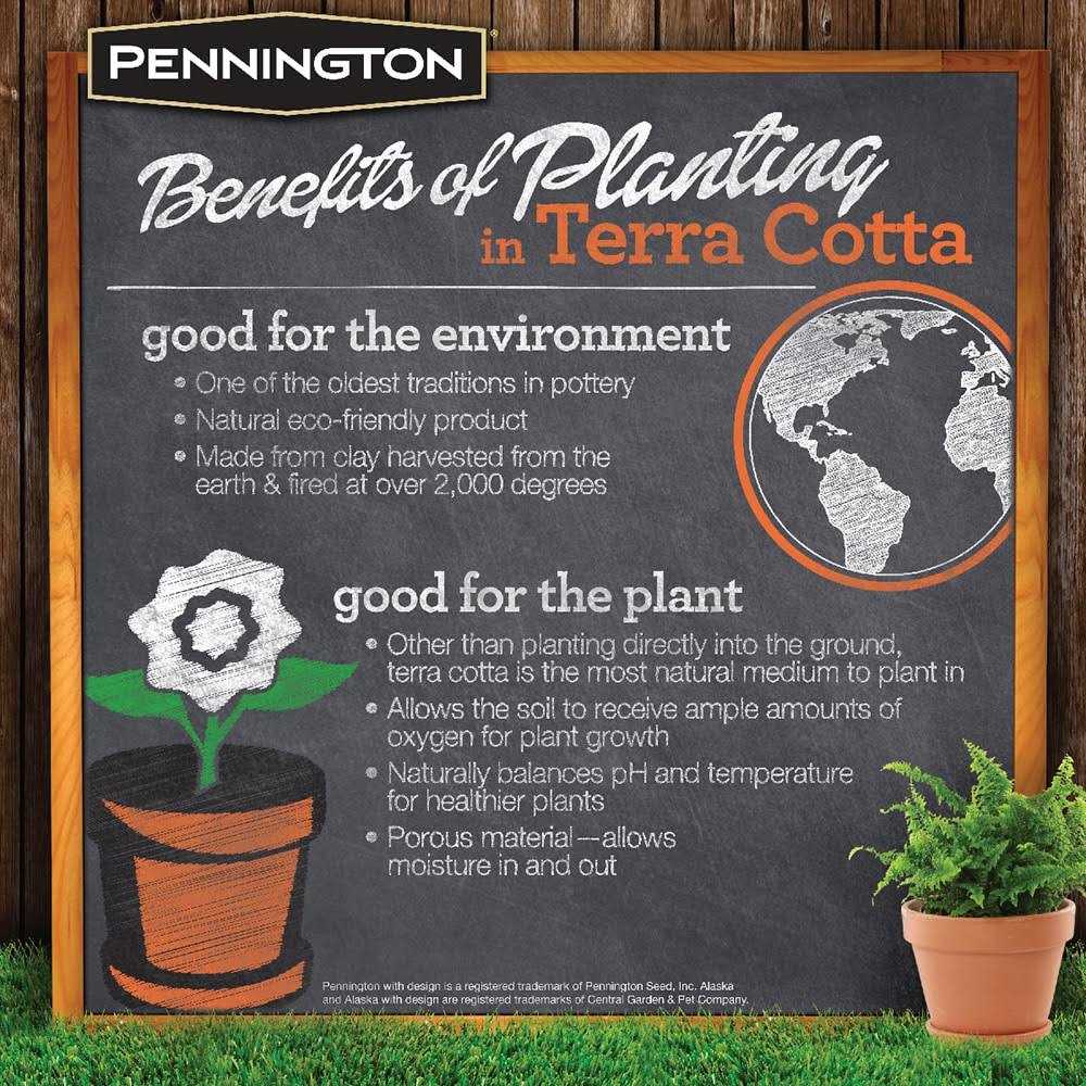 Pennington Terra Cotta Clay Pot