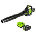 Greenworks 80V Brushless Leaf Blower with 2.5 Ah Battery & Charger 2404602