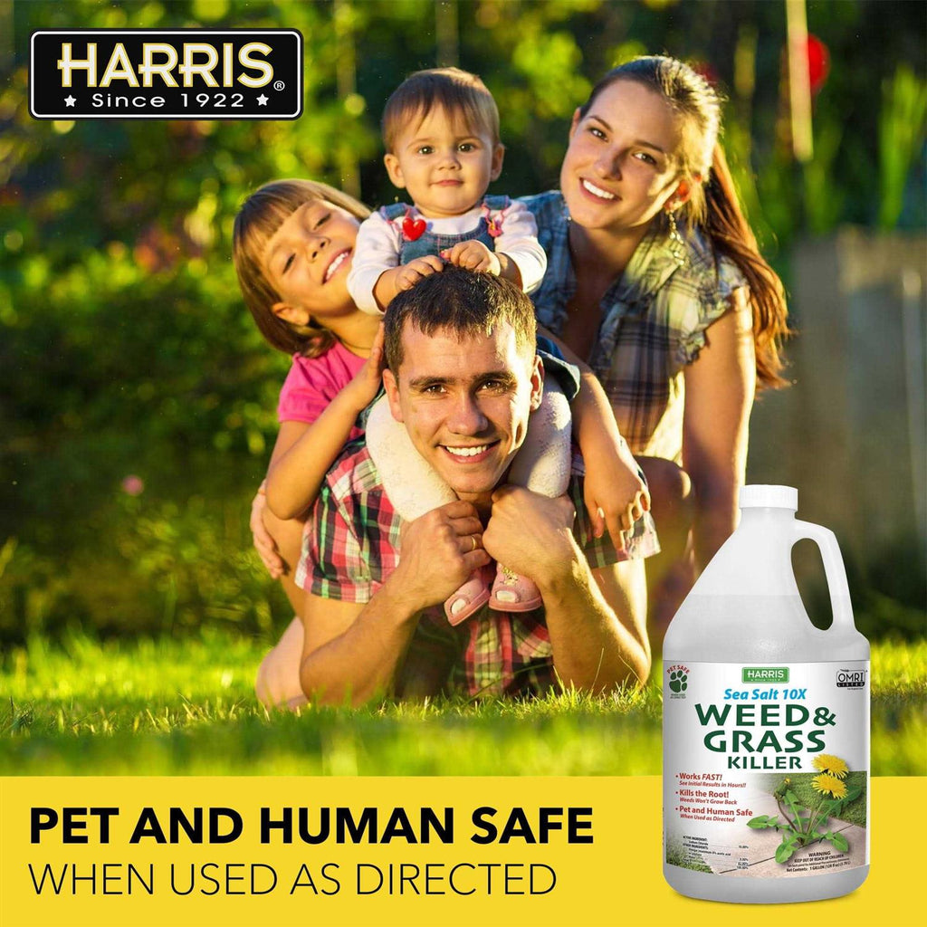 Harris Sea Salt 10X Organic Weed & Grass Killer