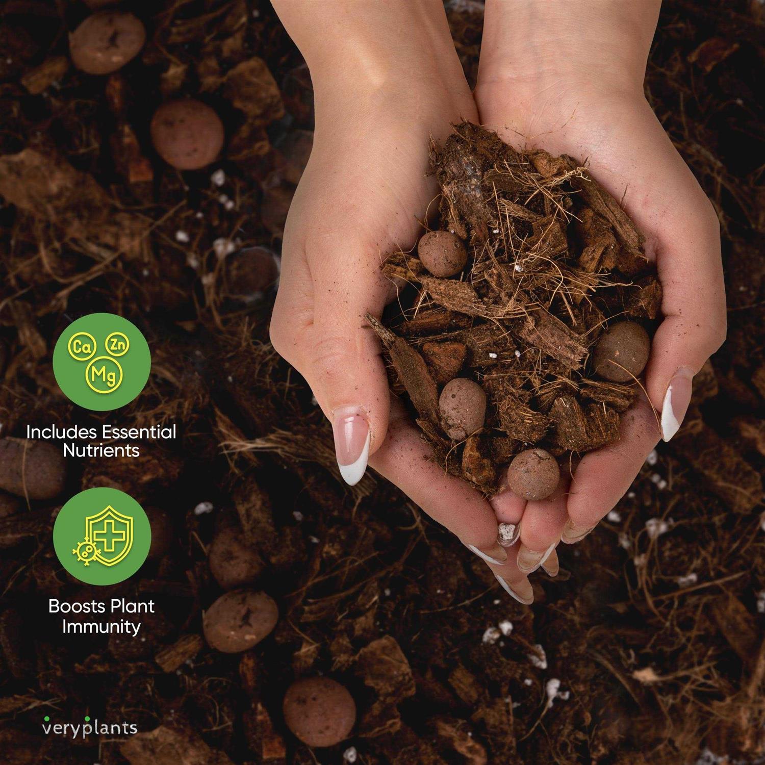 VERYPLANTS Molly’s Aroid Mix Premium Tropical Plant Soilless Potting Mix