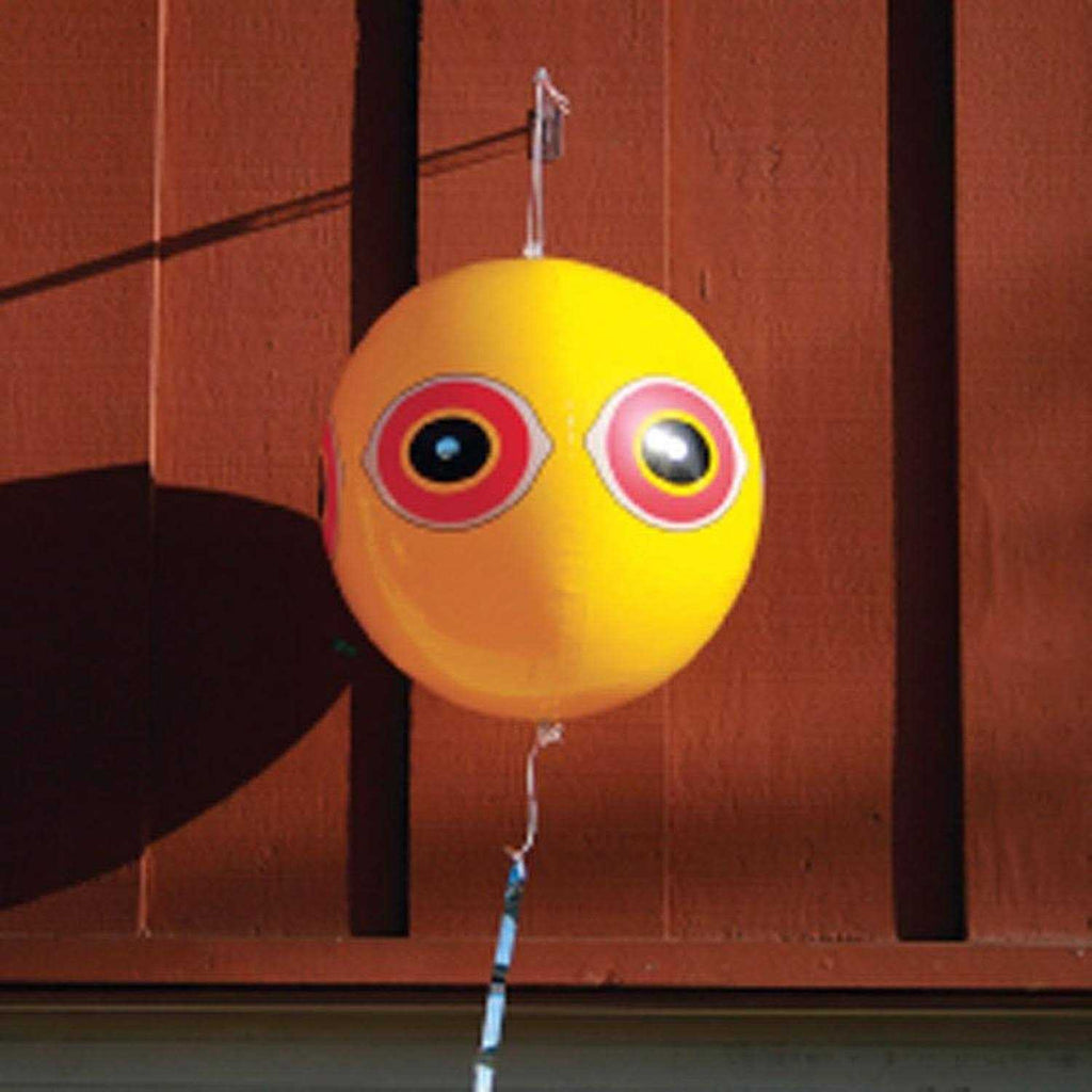 Bird B Gone Woodpecker Deterrent Kit
