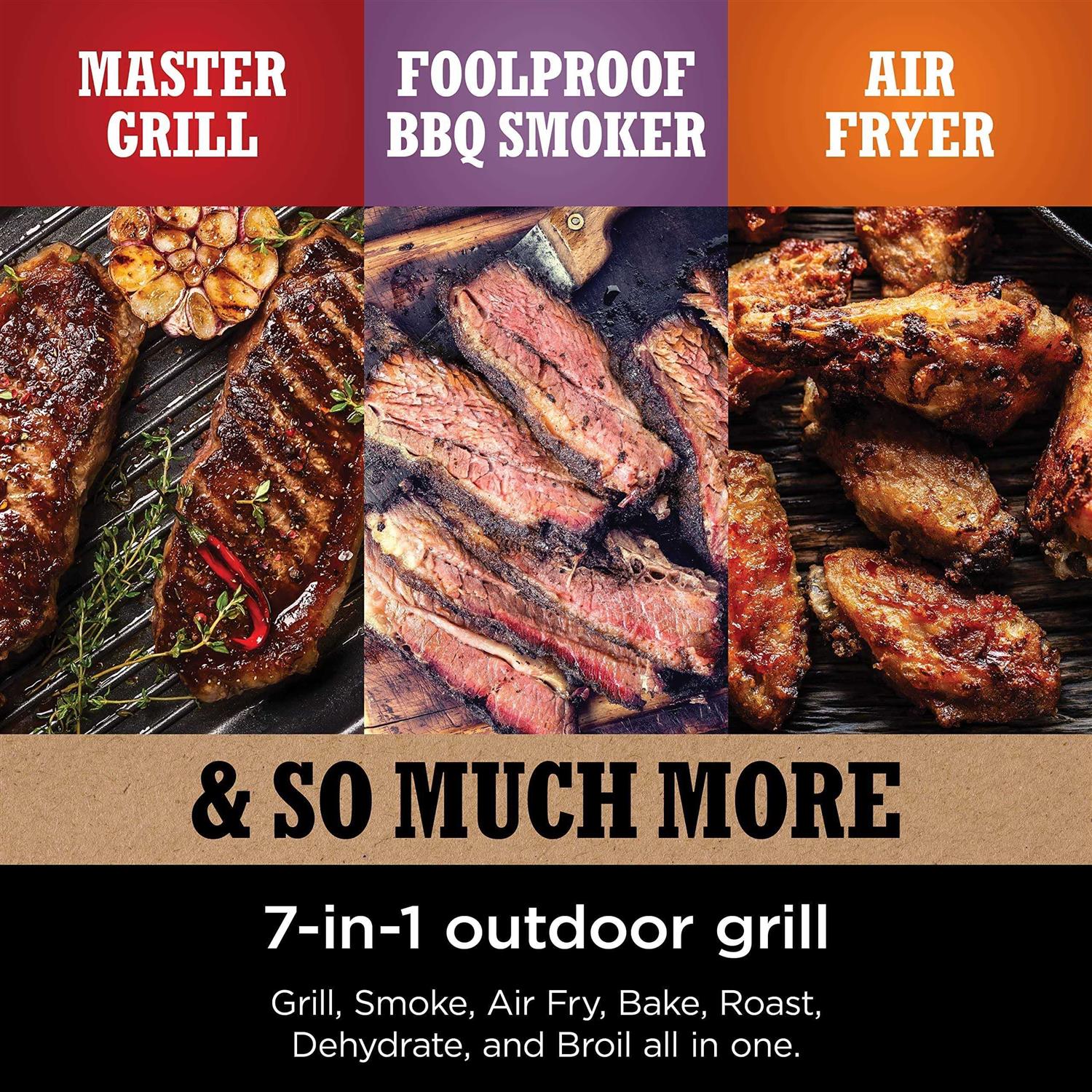 Ninja OG751BRN Woodfire Pro Outdoor Grill & Smoker with Built-In Thermometer