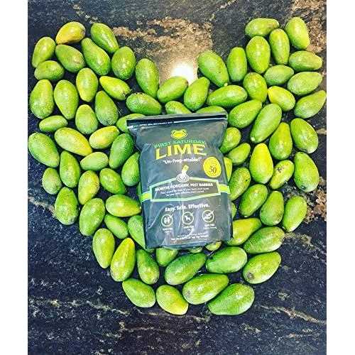 First Saturday Lime 20 lbs. Natural Insect Repellent