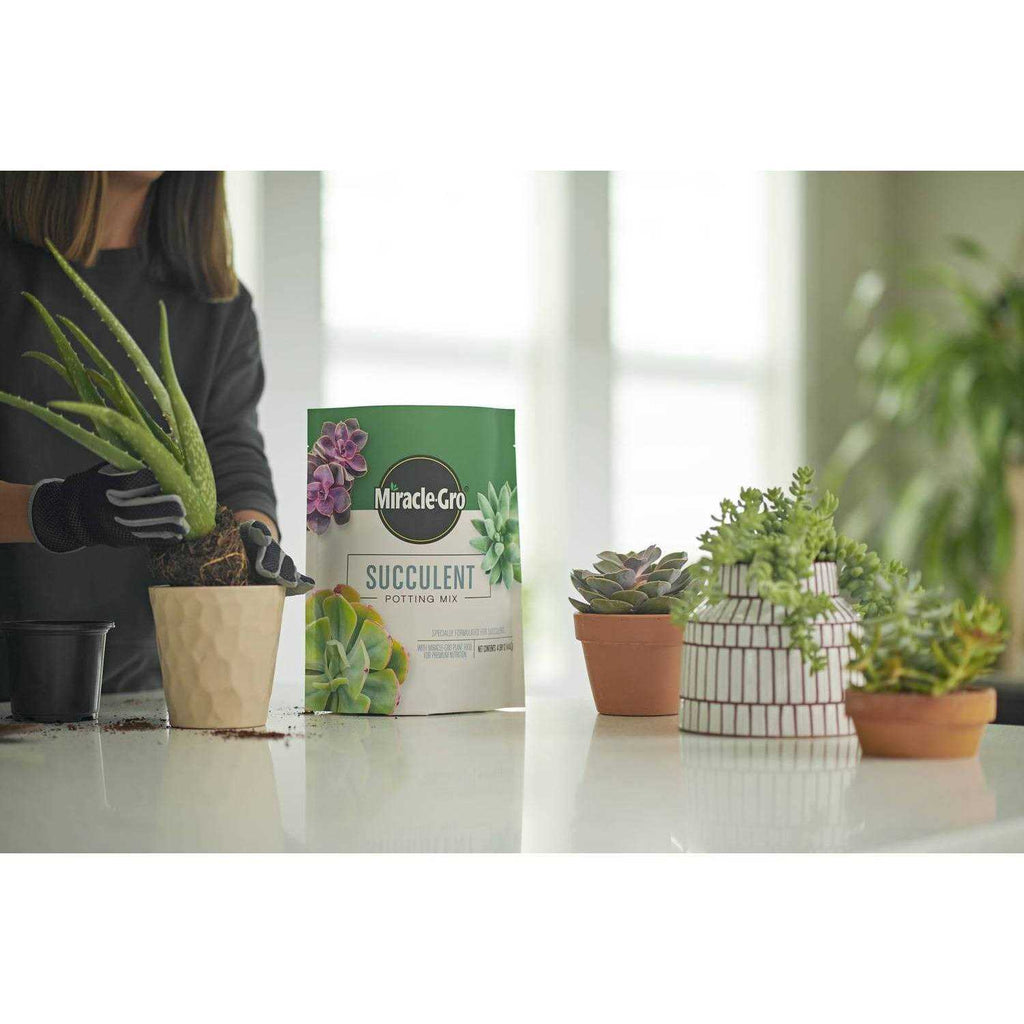 Miracle-Gro Succulent Potting Mix