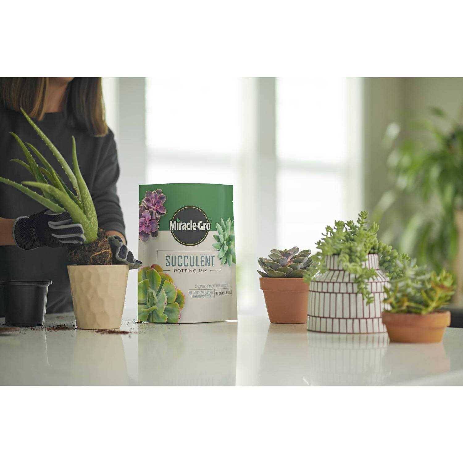 Miracle-Gro Succulent Potting Mix