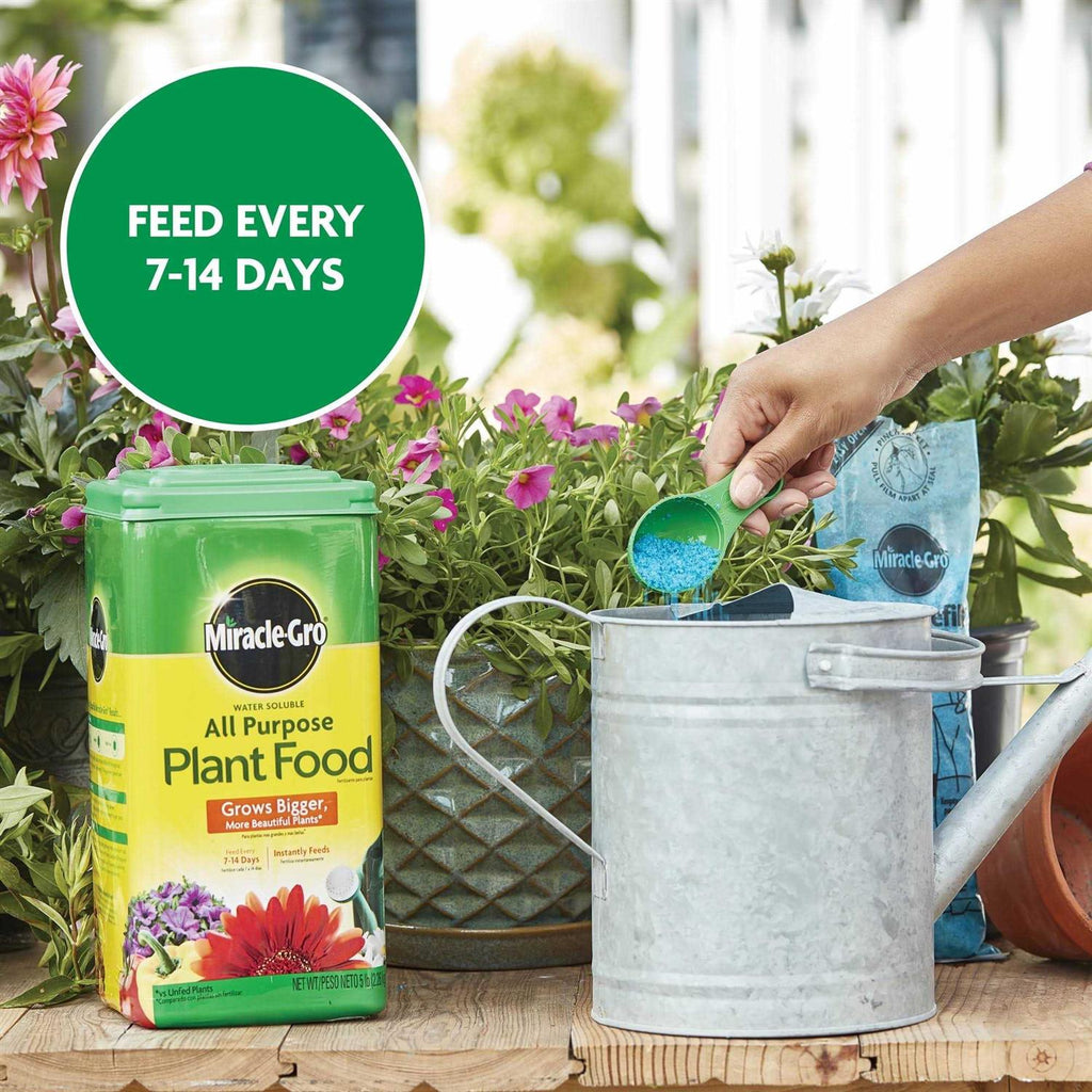 Miracle Gro All Purpose Plant Food – 5 lbs Container