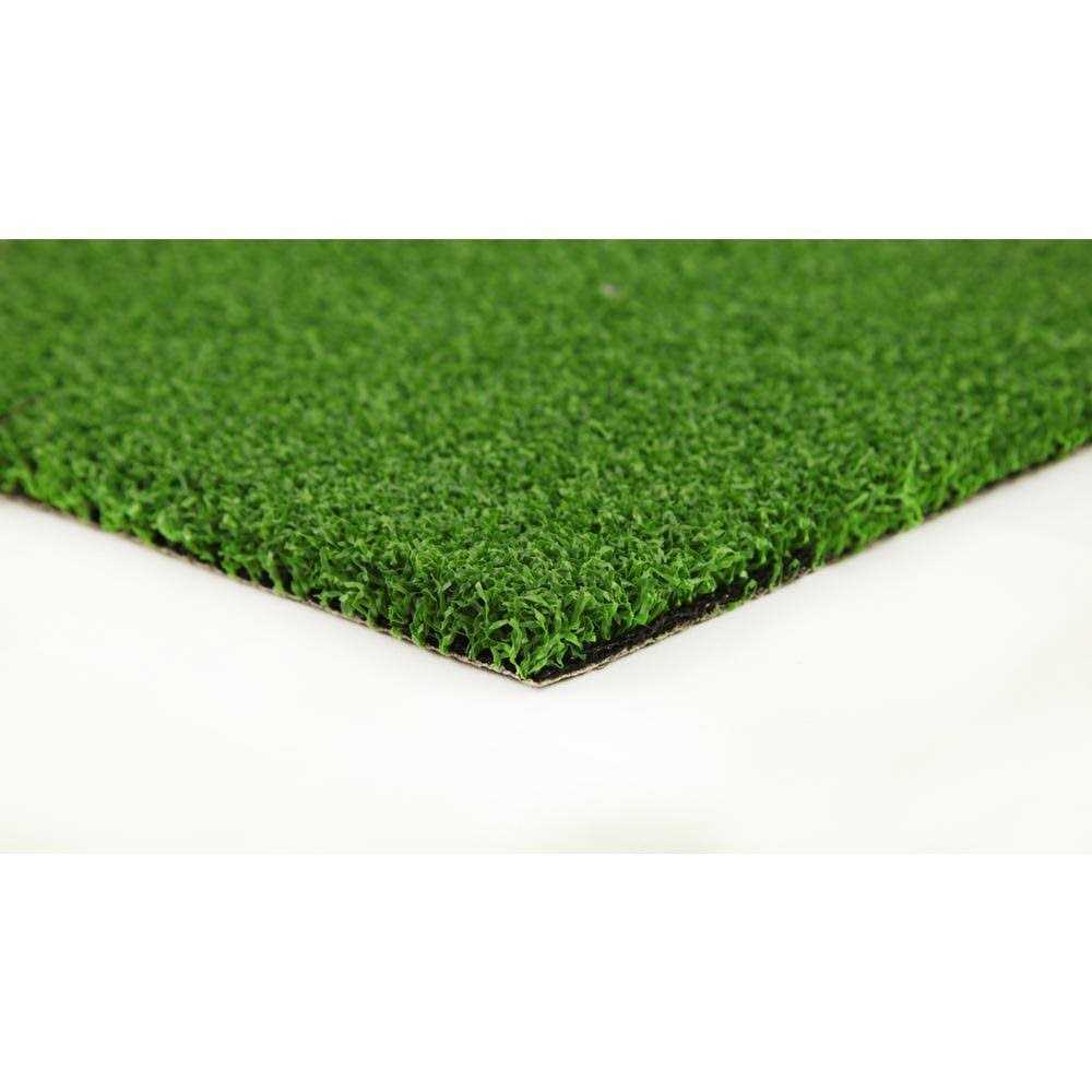 GREENLINE ARTIFICIAL GRASS Putting Green Wide x Cut to Length Artificial Grass Turf