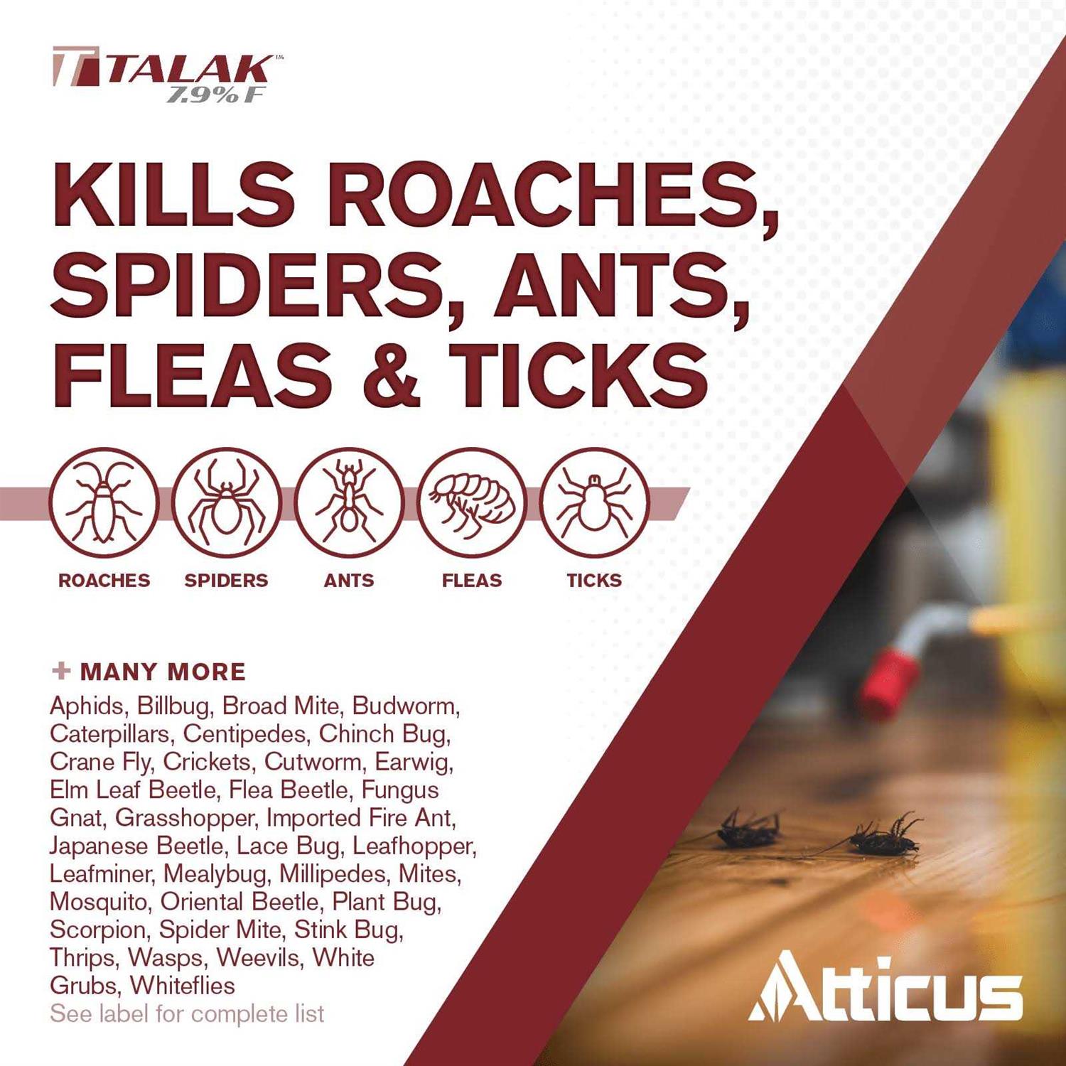 Talak 7.9 F Bifenthrin Insecticide Concentrate by Atticus Indoor and Outdoor Insect Control