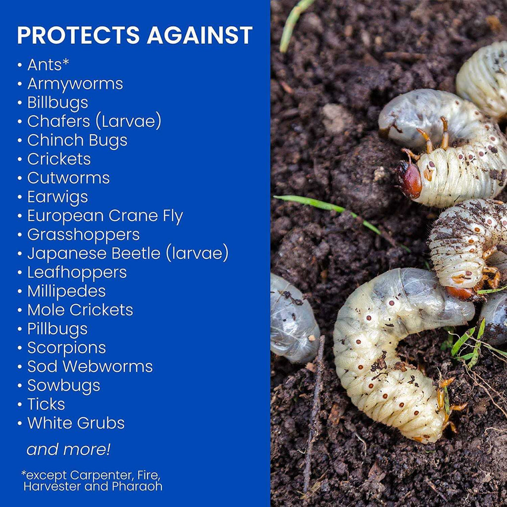 BioAdvanced 24 Hour Grub Killer Plus