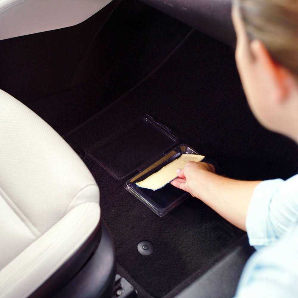 Dead Scent Auto Odor Eliminator