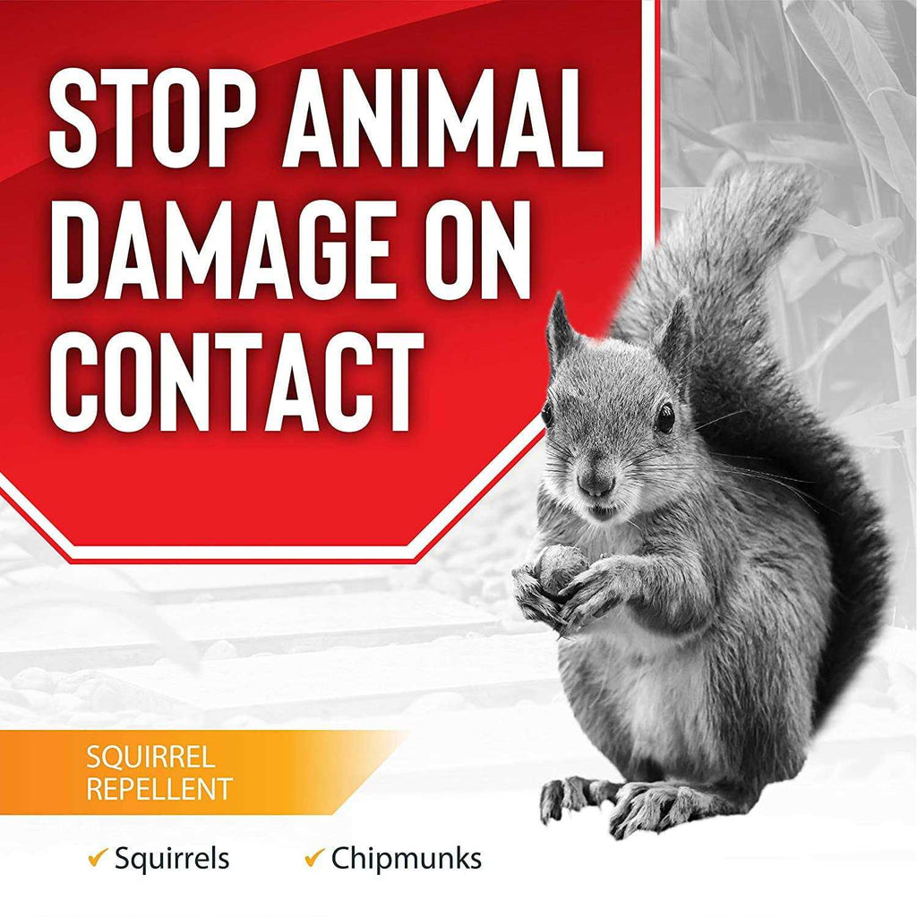 Squirrel Stopper Repellent