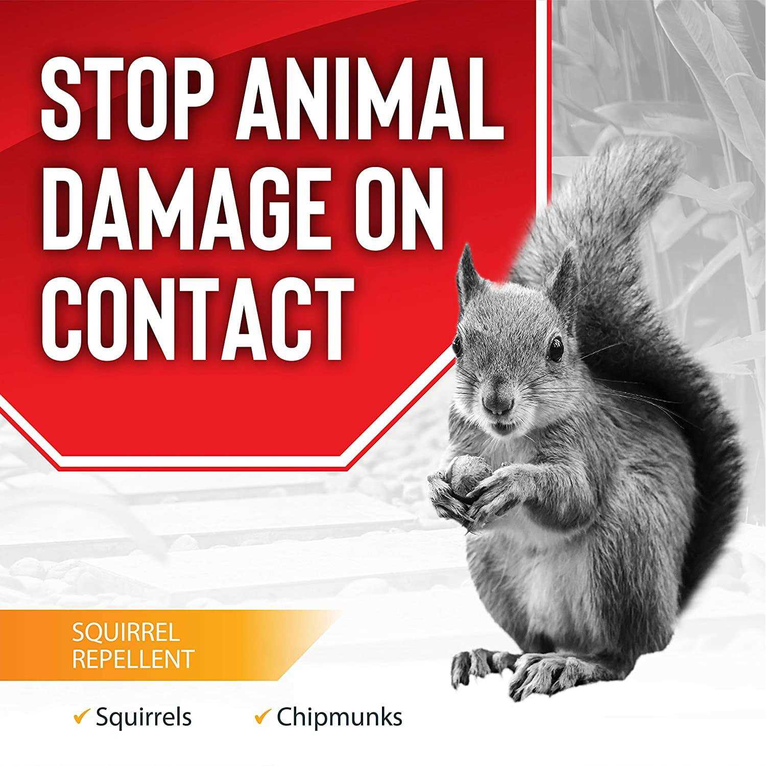 Squirrel Stopper Repellent