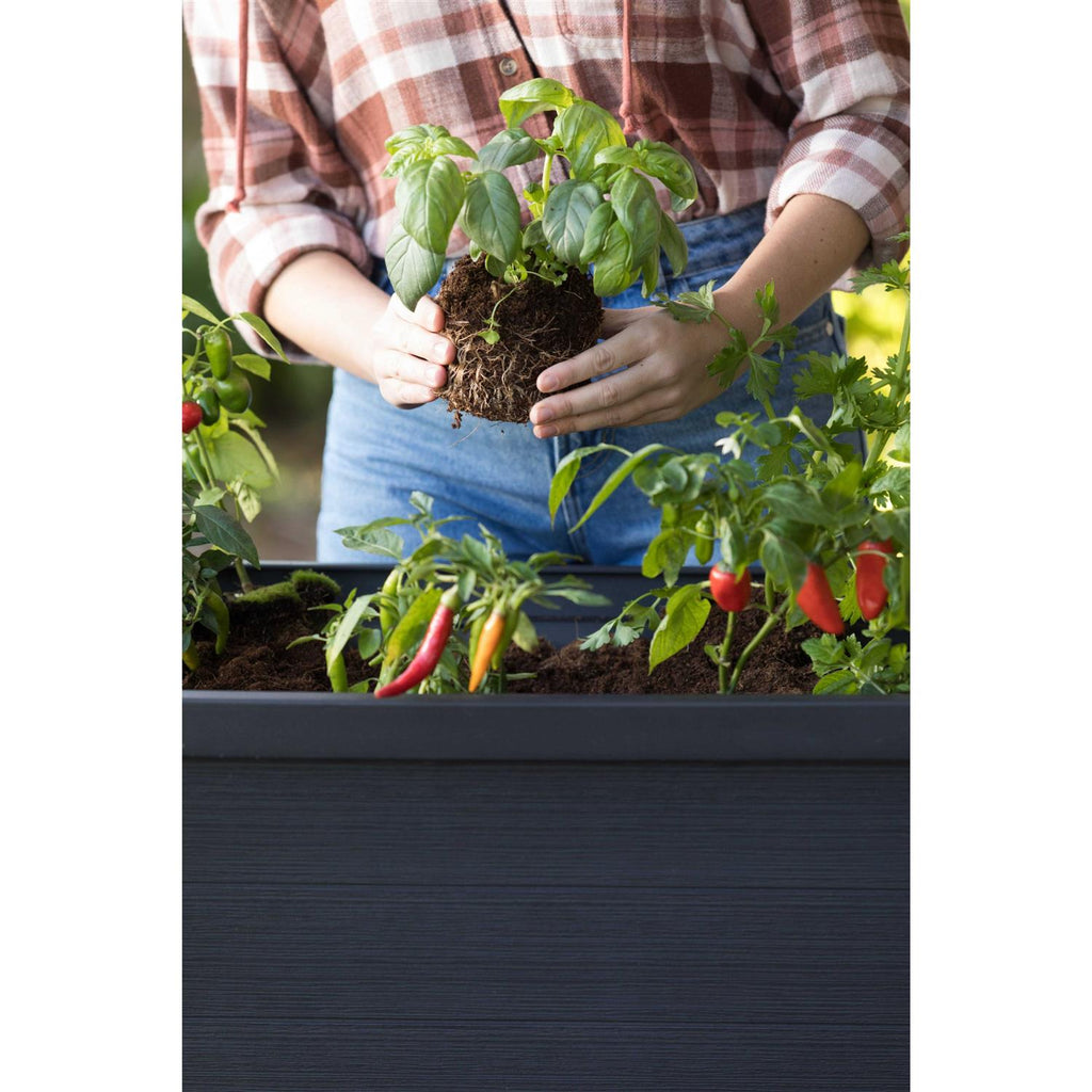 Keter 236157 Urban Bloomer Resin Elevated Planter Raised Garden Bed